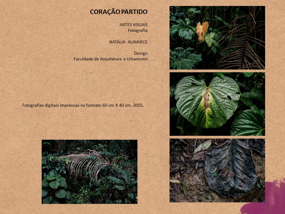 Slide3