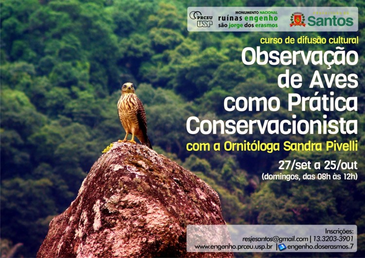 Curso Observação de Aves 2015 email e web (1)