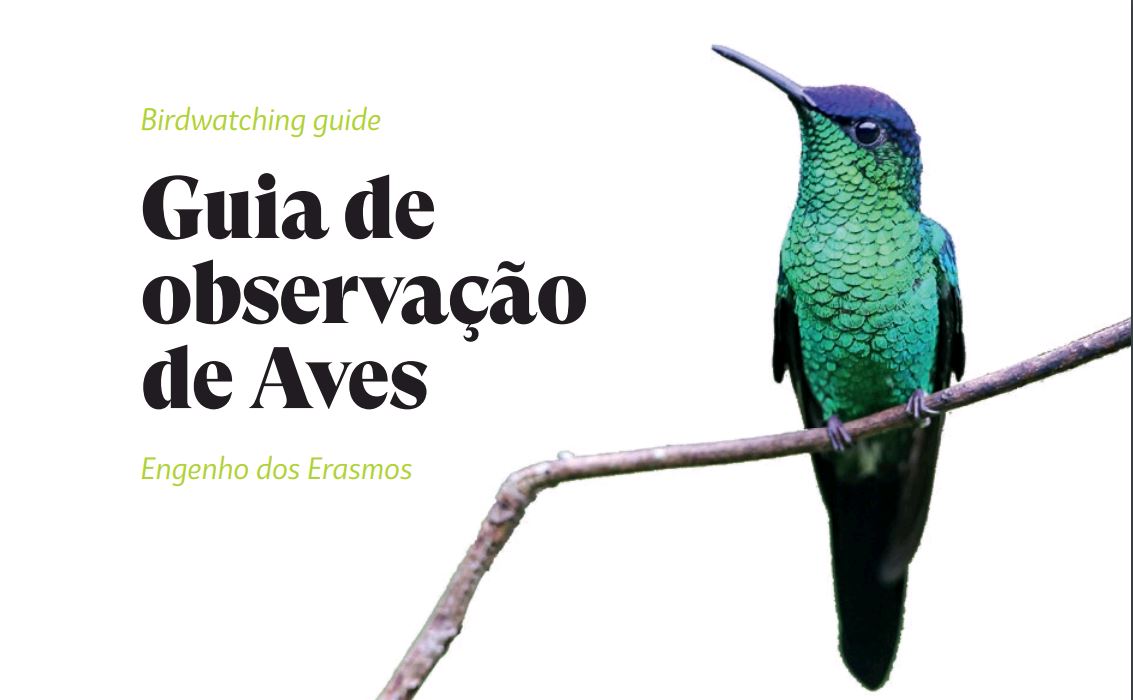 (Português) Engenho dos Erasmos lança Guia de Aves para download gratuito