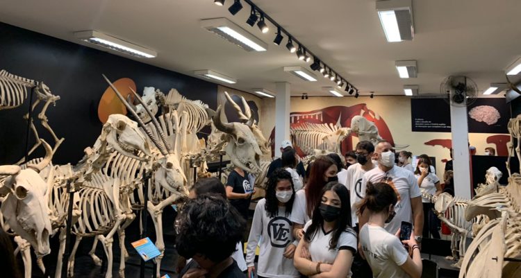 Visita Ao Museu De Anatomia Veterinária