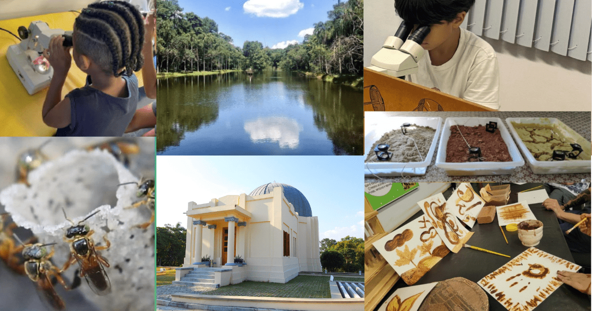 Parque de Ciência e Tecnologia da USP oferece programação gratuita para toda a família nas férias