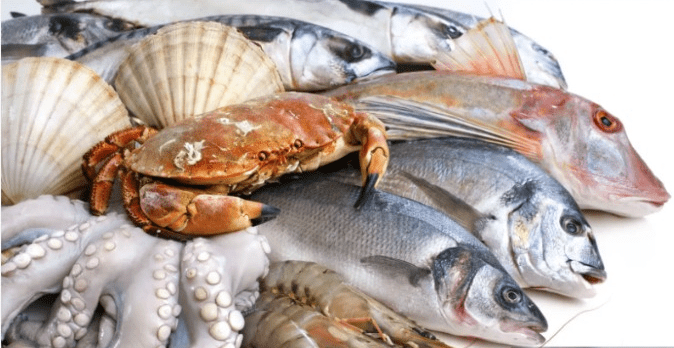 Treinamento Teórico-Prático de Controle da Qualidade do Pescado. 5ª edição